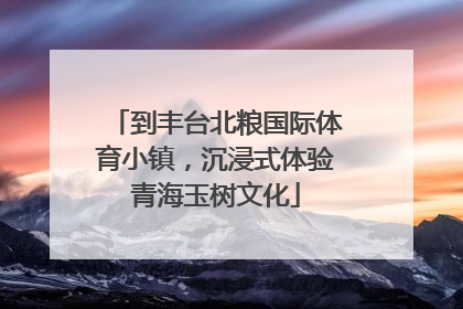 到丰台北粮国际体育小镇，沉浸式体验青海玉树文化